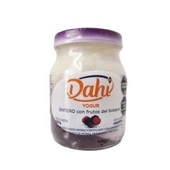 Yogurt Entero con Frutas del Bosque x 190g - Dahi 