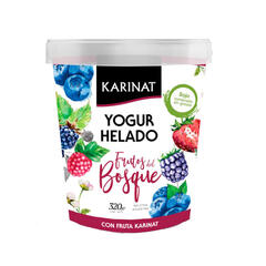 Promo Yogurth Helado Frutos del Bosque x 320g - Karinat
