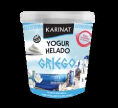 Promo Yogurt Helado Griego x 320g - Karinat
